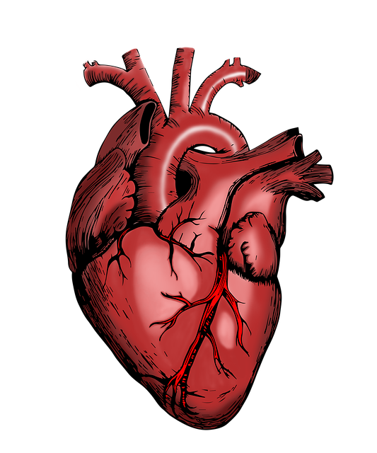 Operace srdce jizva: Péče o jizvu po operaci srdce