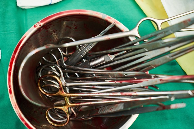 Chirurgie​ Bez Taje:‍ Zákulisí Plastických Úprav Perkausové