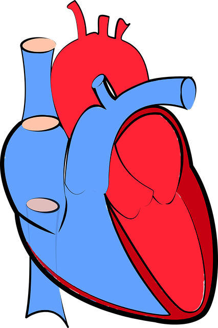 Hlavní faktory ovlivňující hojení jizvy po operaci srdce