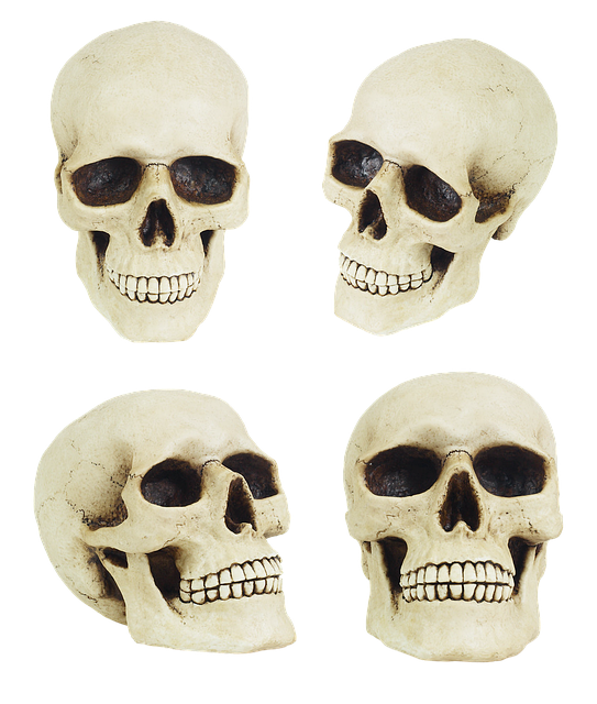 Lícní ⁤kosti ⁢plastika: Význam ‌a důležitost pro⁤ tvarování vaší tváře