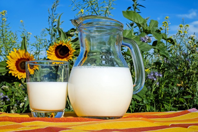 Mléčné výrobky, které je​ nejlépe nejíst po operaci slepého střeva
