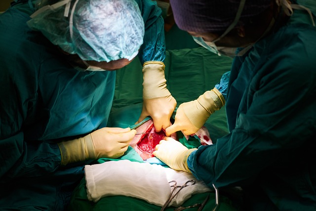 Operace měkkého nosu cena: Plastická ‌chirurgie ⁤versus⁤ Metoda Hyalual