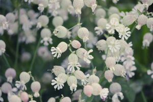 Plastika Močové Trubice U Žen: Jaký Je Postup a Indikace?