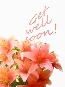 Operace slepého střeva rekonvalescence: Jak se zotavit po zákroku slepého střeva?