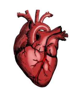 Cviky po operaci vyhřezlé ploténky: Jak posílit páteř