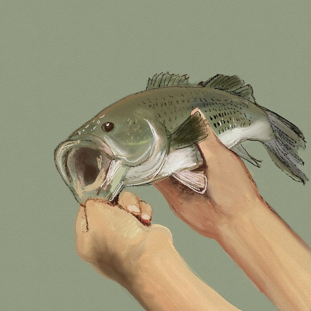 Kde najít kvalitní a dostupnou operaci ⁤nosní ⁤přepážky?