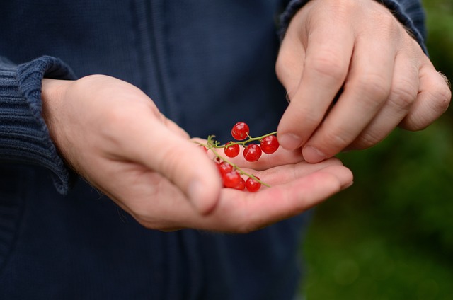 Důležité nutriční ​doplňky ​pro efektivní ⁢zotavení po operaci